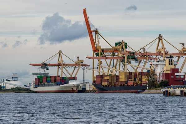 kiwi exporters