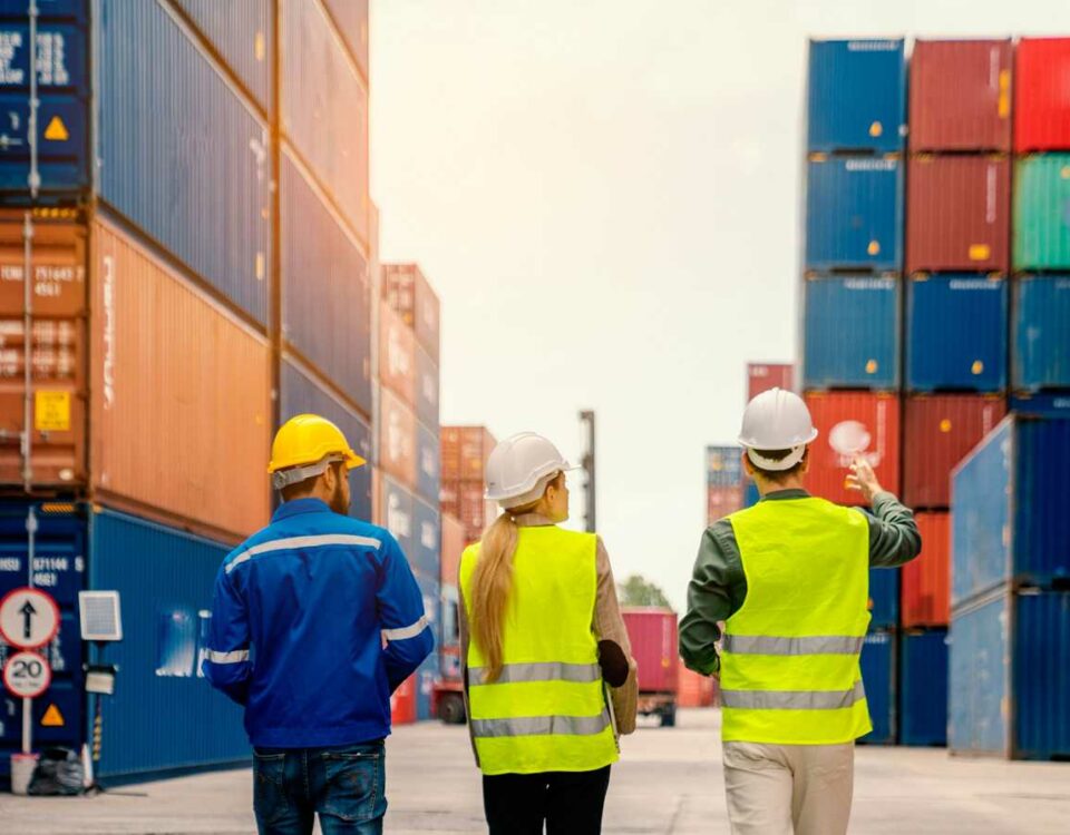 Under Extreme Pressure, Australian And New Zealand Supply Chains Have Been Winners. But What Do We Need To Do To Ensure Future Resilience
