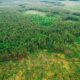 EU Deforestation Legislation