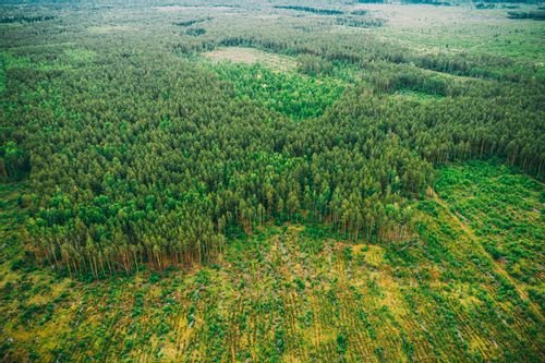 EU Deforestation Legislation