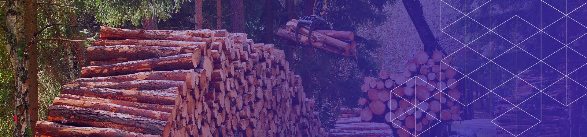 forestry solutions