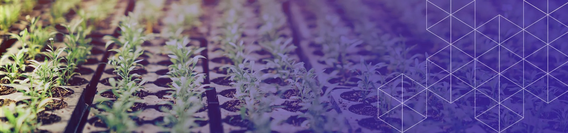 horticulture solutions