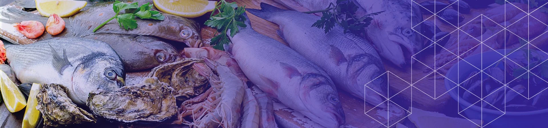 seafood solutions
